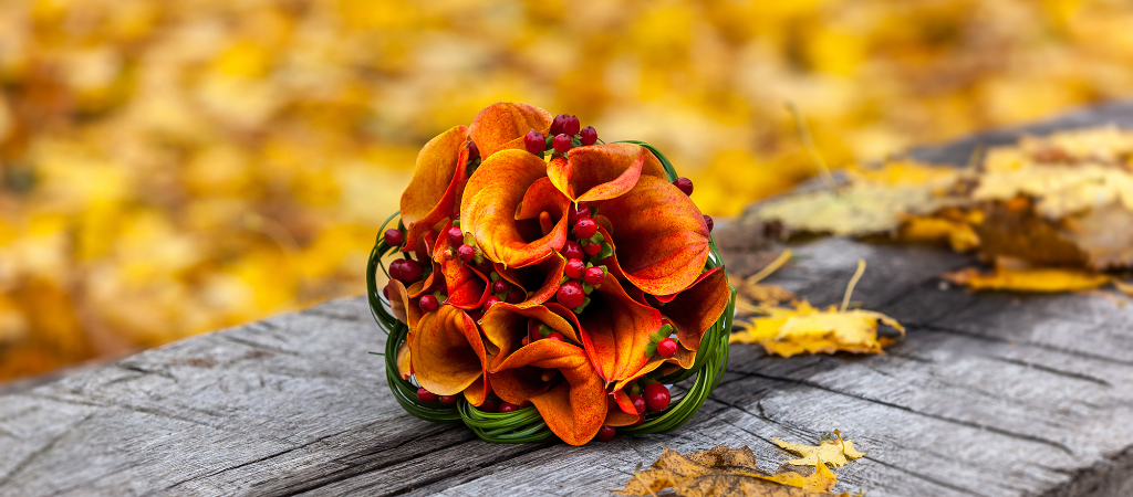 Autumn Flowers