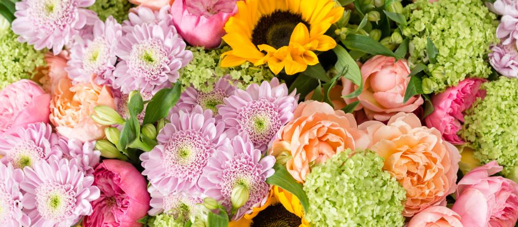 Summer Flowers